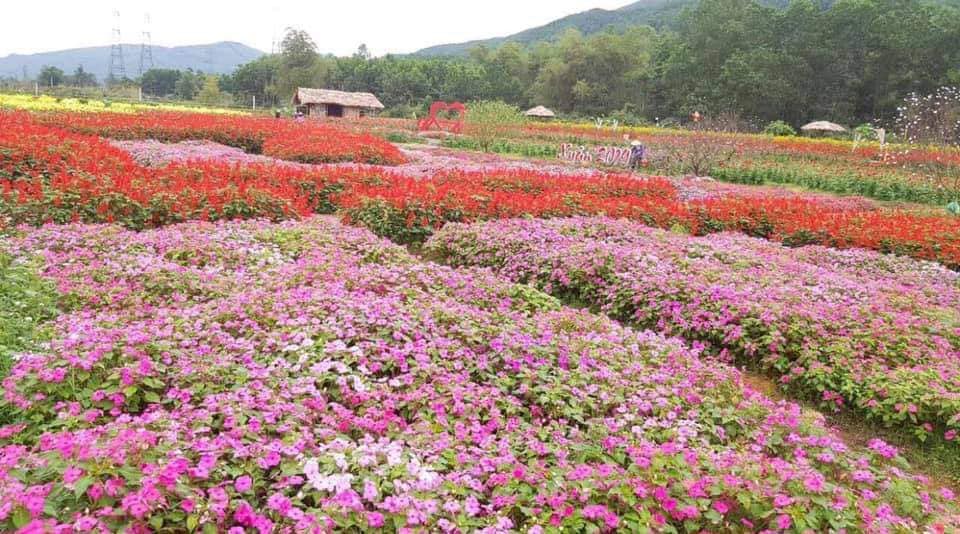 Giá Vé Điểm Check-in Wonderland Vĩnh Phúc 1 Diem-check-in-Wonderland-Vinh-Phuc