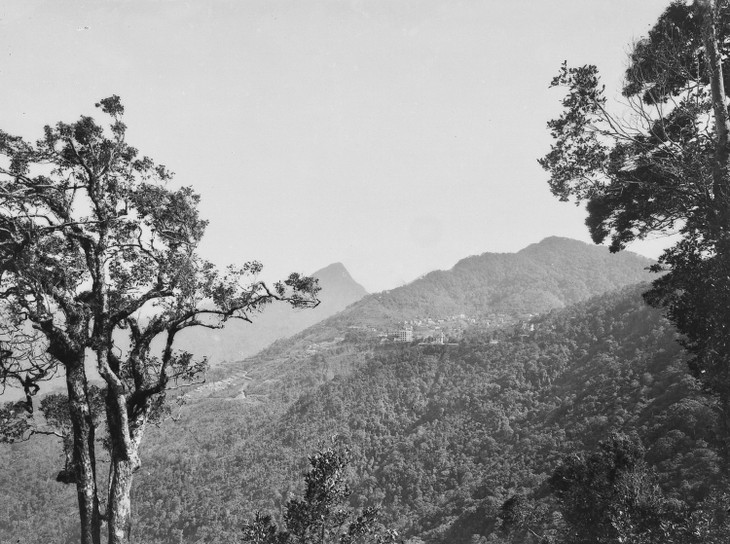 khu-nghi-mat-tam-dao-thap-nien-1920-12